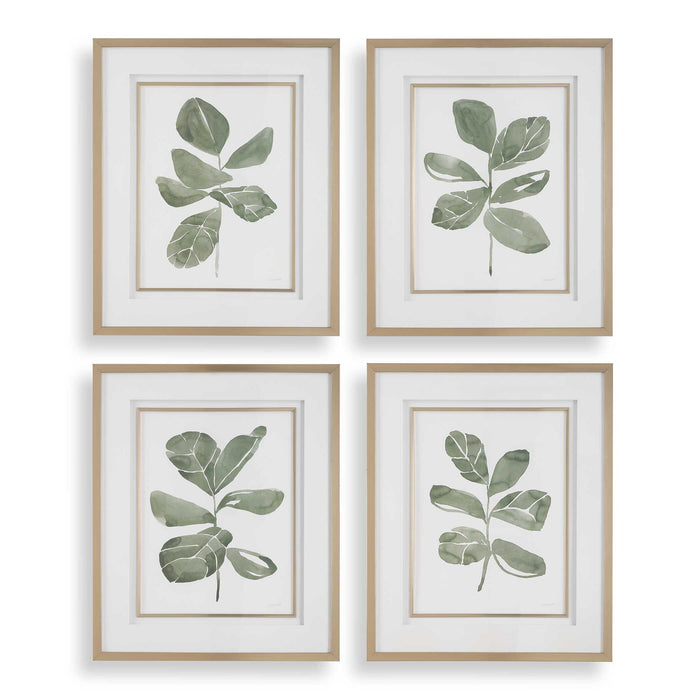 Fiddle Head - Leaf Botanical Prints (Set of 4) - Gold / Green / White