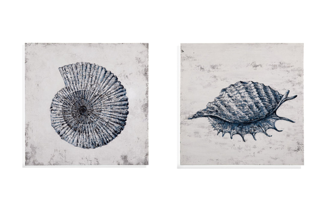 Shell II Canvas Art - Blue / Gray