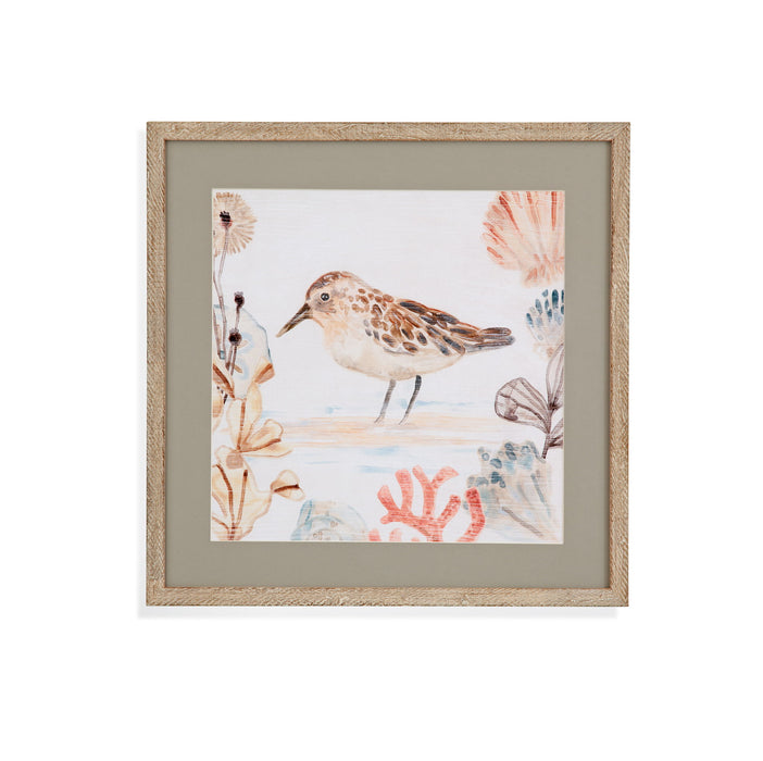 Shell Peppers IV Framed Print - White