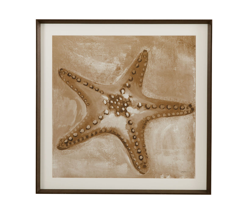 Neutral Starfish Framed Print - Light Brown