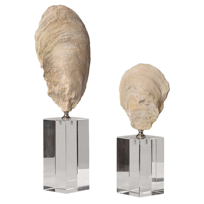 Oyster - Shell Sculptures (Set of 2) - Beige