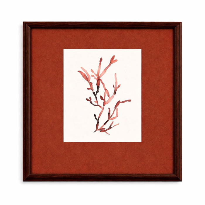 Bubble Seaweed Framed Print - Red
