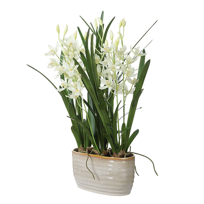 Ariana Orchid - Planter - Gray