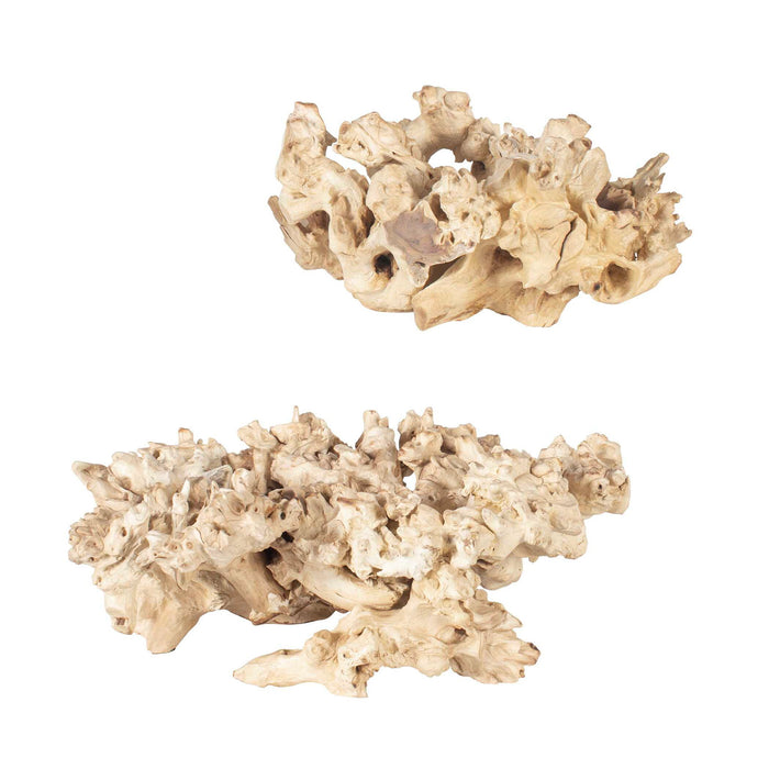 Elemental Root - Outdoor Sculptures (Set of 2) - White