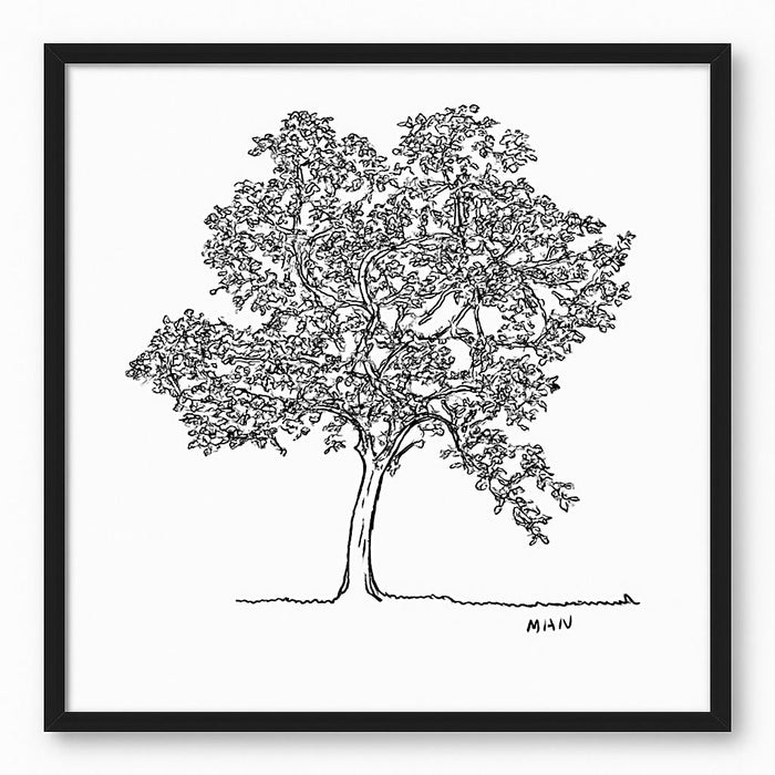 Tree 2 Framed Print - Black / White