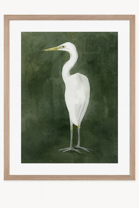Emerald Heron IV Framed Print - Green / White