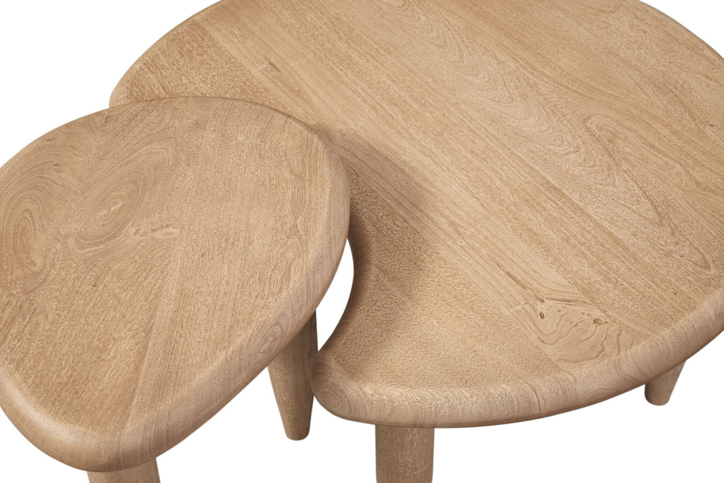 Aldridge - Cocktail Tables - Sandblasted Dune Mango