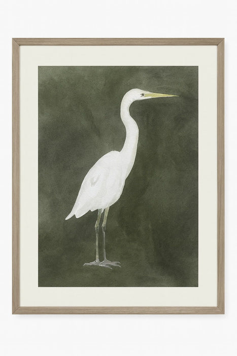 Emerald Heron III Framed Print - Green / White