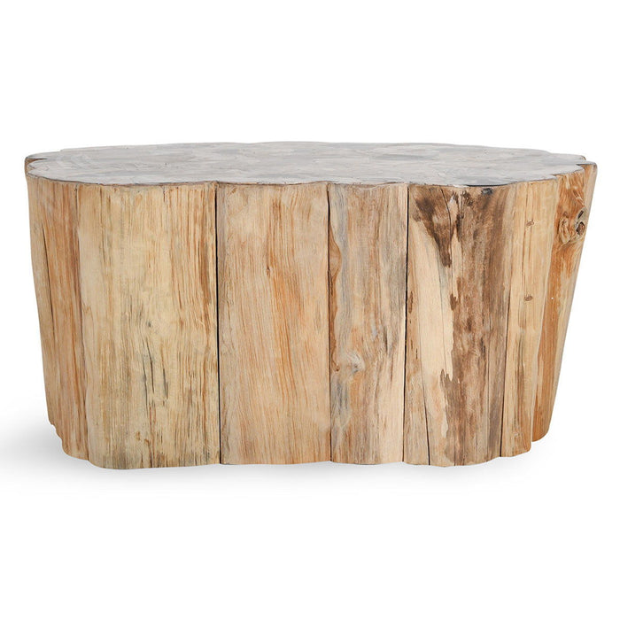 Norwest - Petrified Wood Coffee Table - Natural