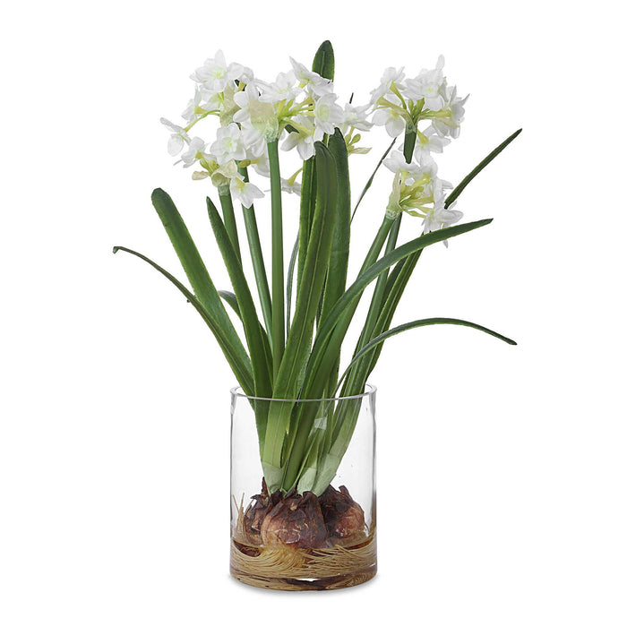 Lacey Daffodil - Accent Arrangement - White