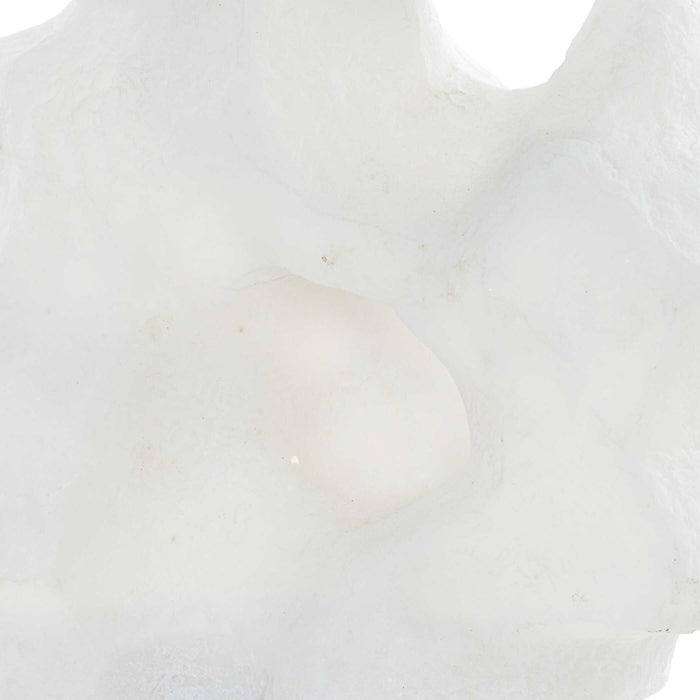 Remnant - Sculptures (Set of 2) - White