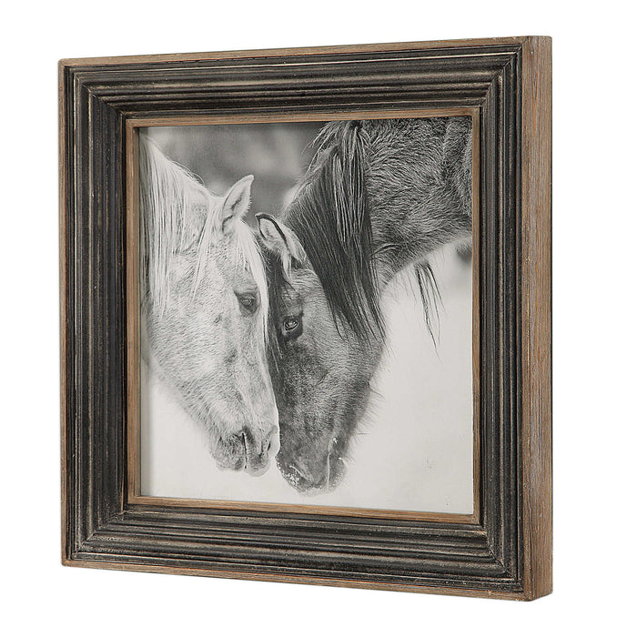 Custom Black And White Horses - Print - Dark Brown