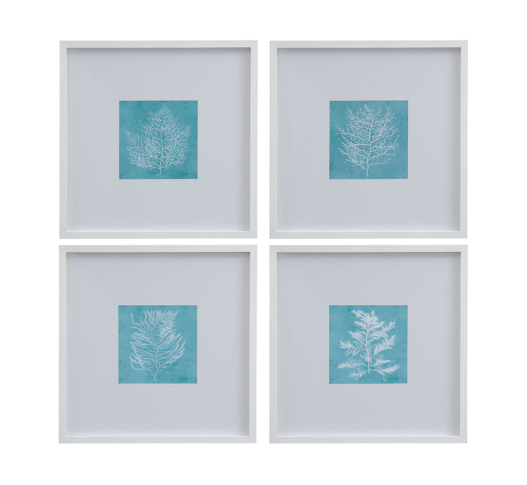 White Coral On Blue II Framed Print - Blue / White