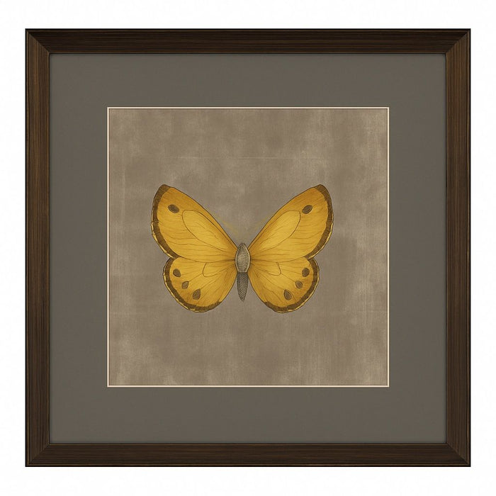 Papilio Luxe Flavus Framed Print - Yellow / Beige