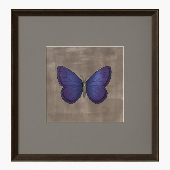 Papilio Luxe Caeruleum Framed Print - Periwinkle / Beige