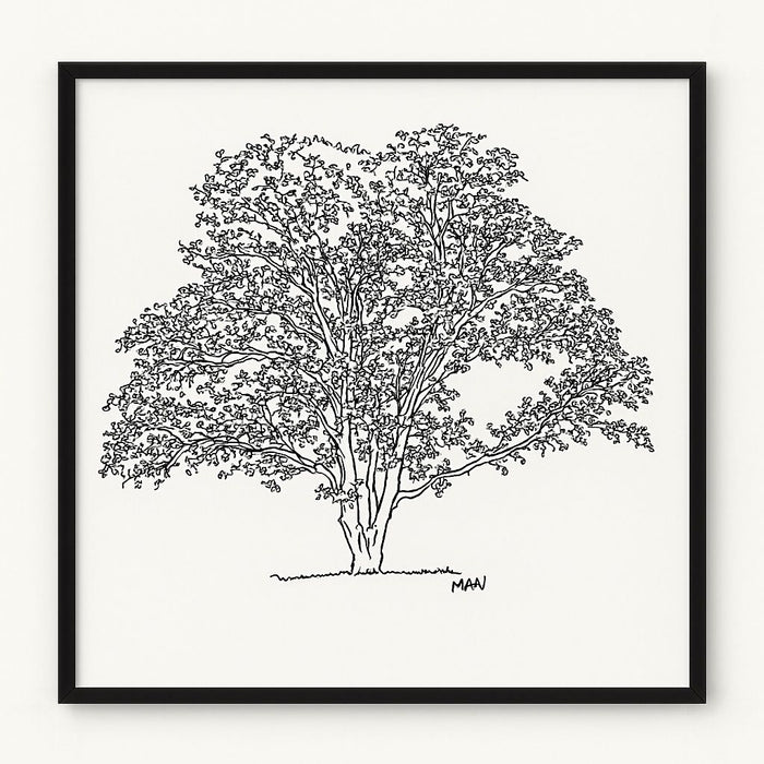 Tree 1 Framed Print - Black / White