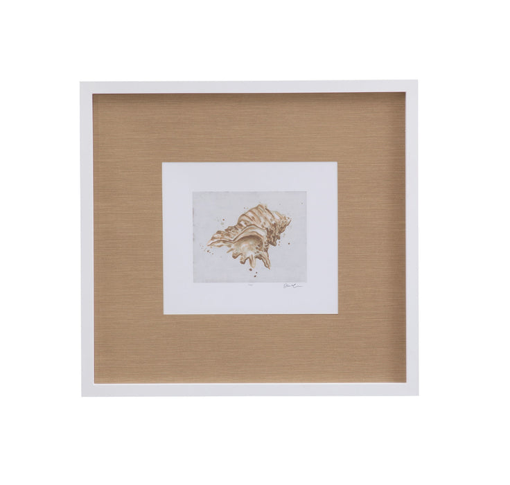 Neutral Shell Fresco III Framed Print - Light Brown / White