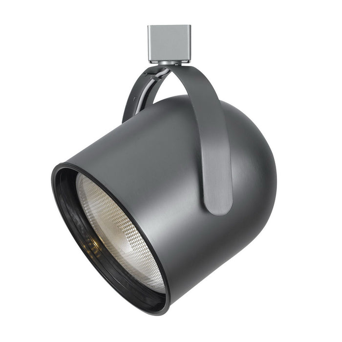 Line Voltage, Integrated Wire, Par38 - Brushed Steel