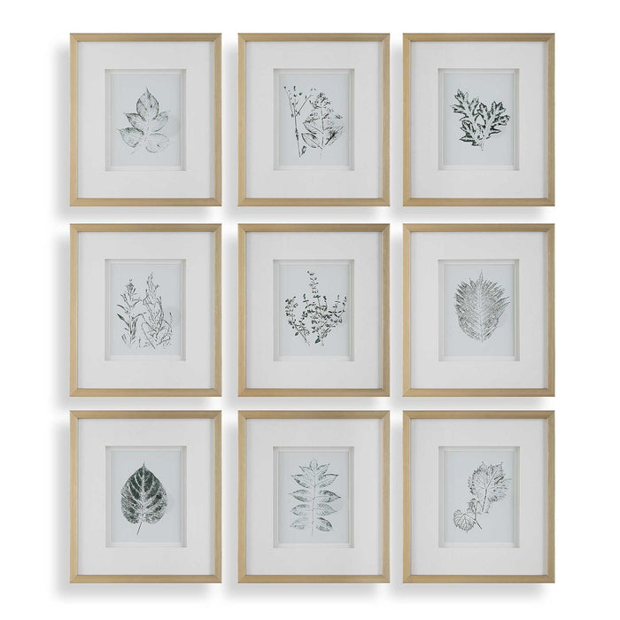 Nature's - Script Framed Botanical Prints (Set of 9) - Gold / Green / White