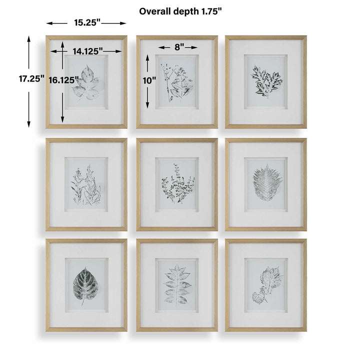 Nature's - Script Framed Botanical Prints (Set of 9) - Gold / Green / White