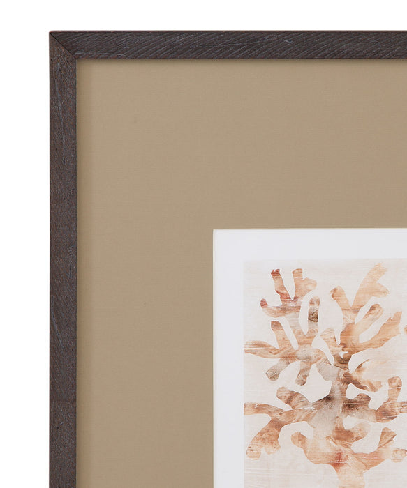 Parchment Coral Framed Print (Set of 4) - Brown