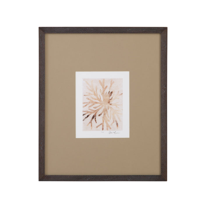 Parchment Coral II Framed Print - Brown