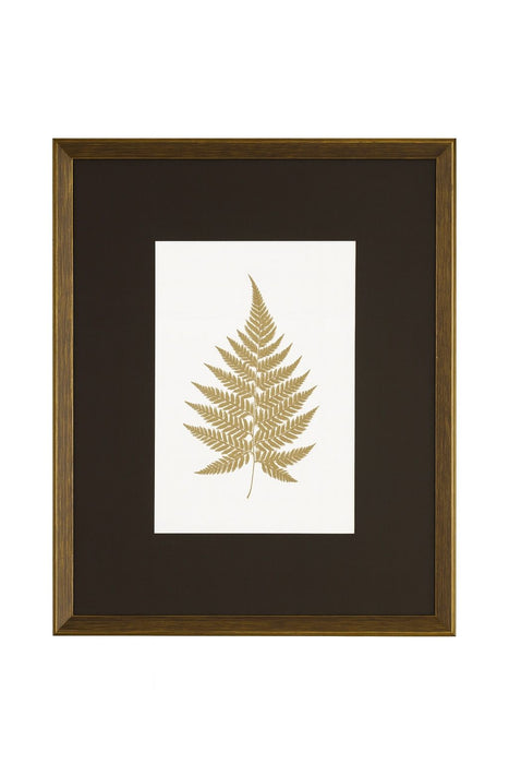 Antique Fern V Framed Print - Gold / White / Brown