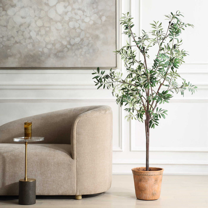 Olea - Potted Olive Tree - Green