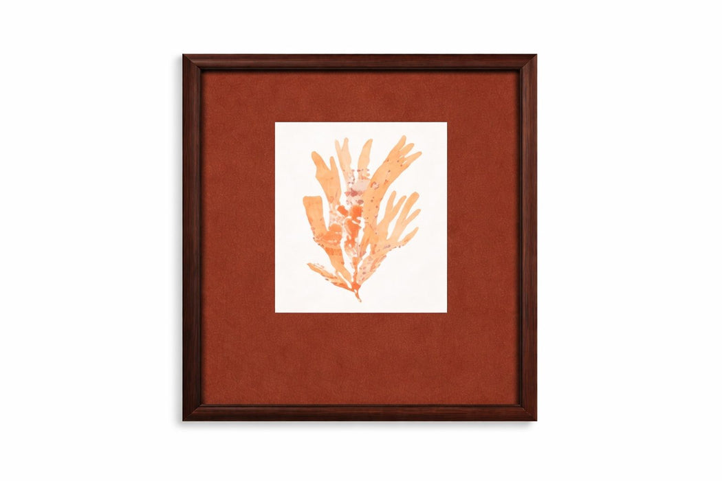 Ochre Coral Framed Print - Red