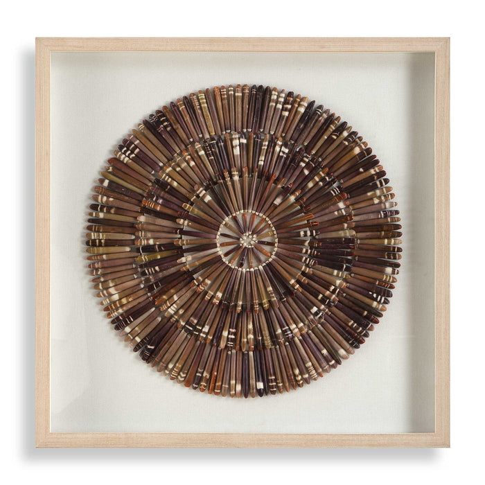 Tiger Sea Urchin - Shadow Box - Brown