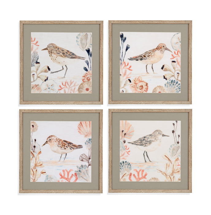 Shell Peppers III Framed Print - White