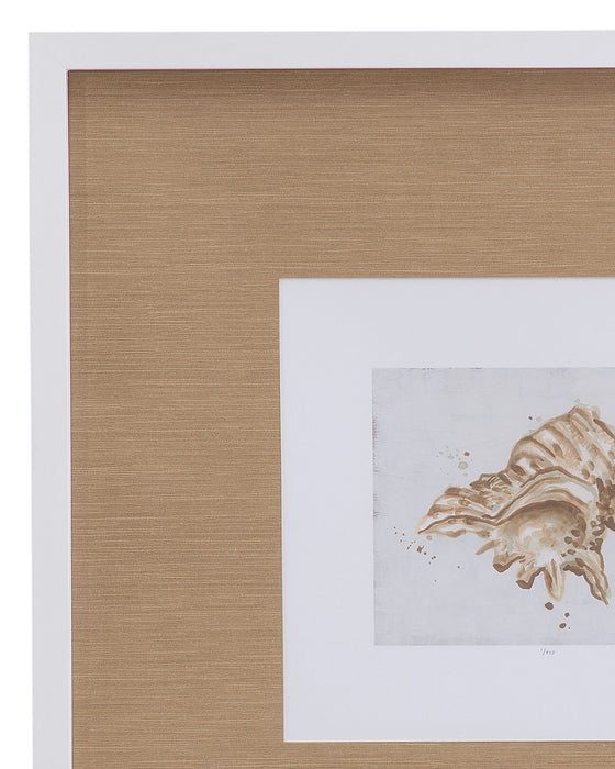 Neutral Shell Fresco III Framed Print - Light Brown / White