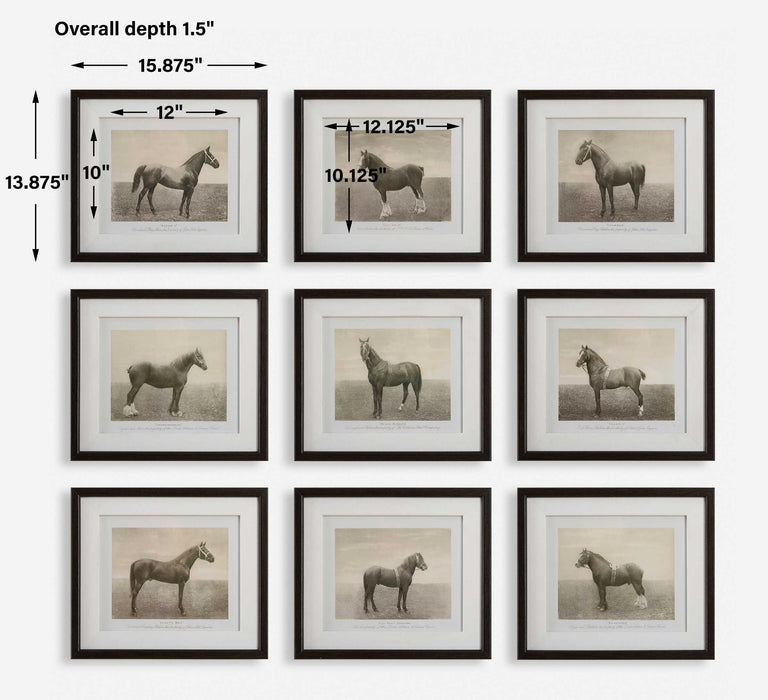 Equine Dynasty - Framed Prints (Set of 9)