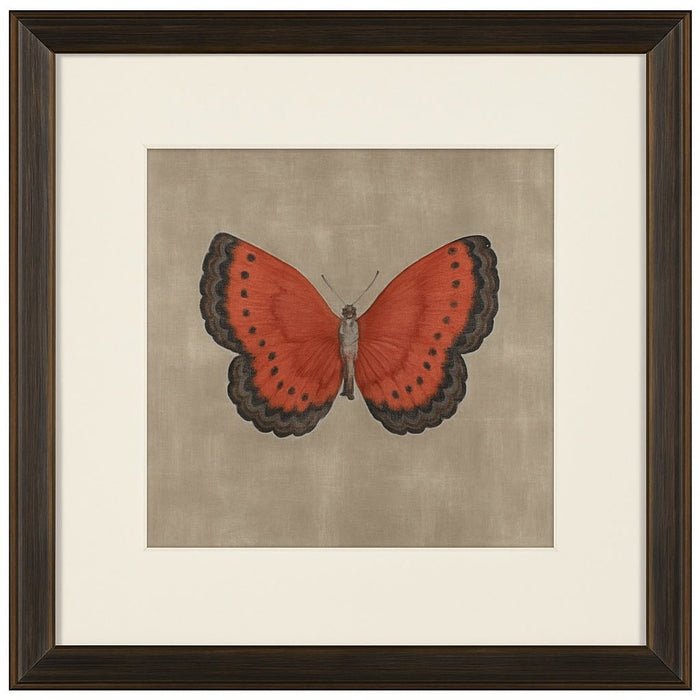 Papilio Luxe Terra Framed Print - Red / Beige