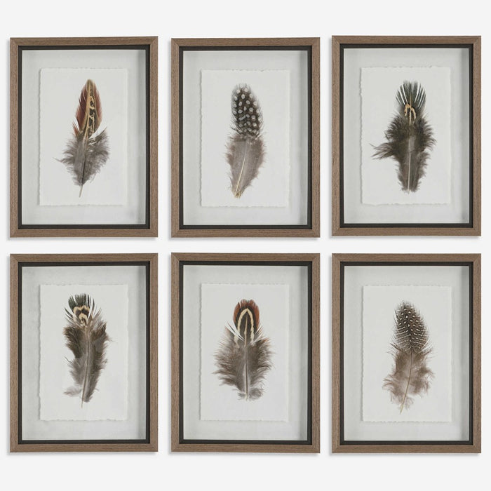 BIRDS OF A FEATHER FRAMED PRINTS, S/6