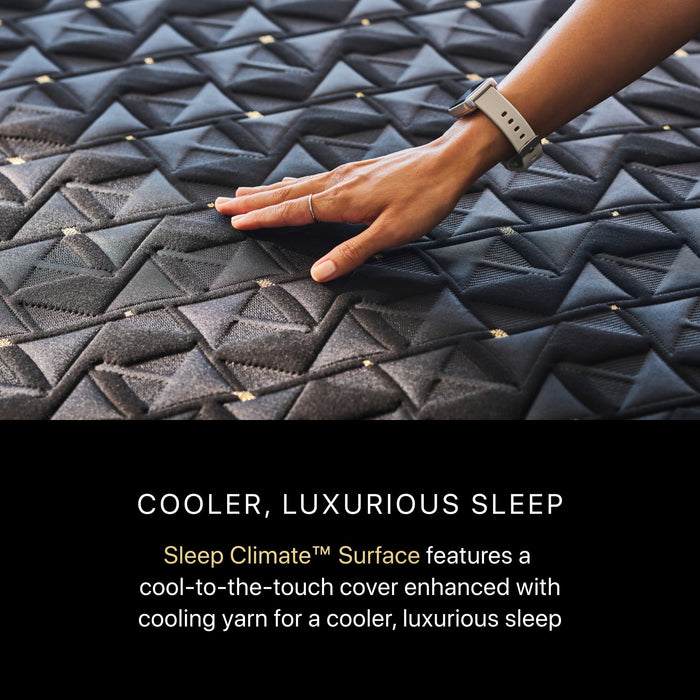 Beautyrest Black Hybrid Beautyrest Black Hybrid - Series Four Plush Apex Top / Queen