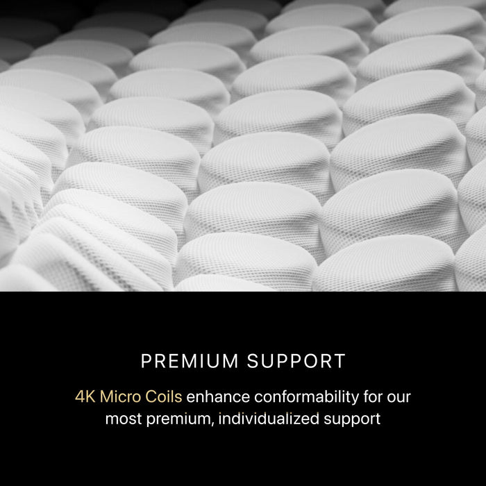 Beautyrest Black Hybrid Beautyrest Black Hybrid - Series Four Plush Apex Top / Queen