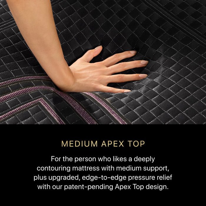 Beautyrest Black Hybrid Beautyrest Black Hybrid - Series Two Medium Apex Top / Twin XL