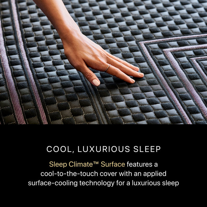 Beautyrest Black Hybrid Beautyrest Black Hybrid - Series Two Medium Apex Top / King