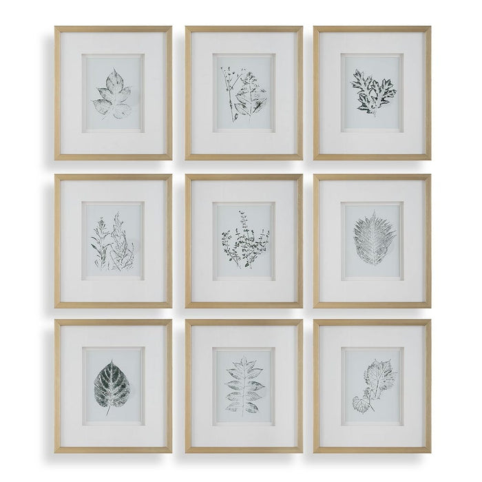Nature's Script Framed Prints, S/9