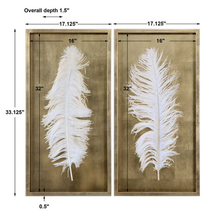 White Feathers Shadow Boxes, S/2