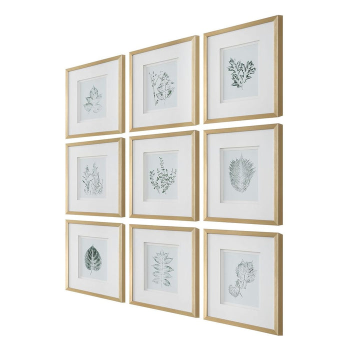 Nature's Script Framed Prints, S/9