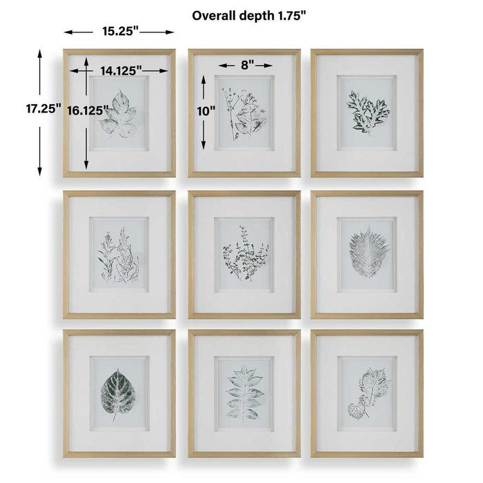 Nature's Script Framed Prints, S/9
