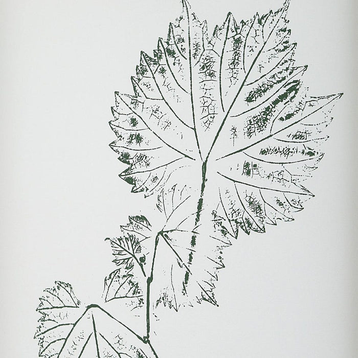 Nature's Script Framed Prints, S/9