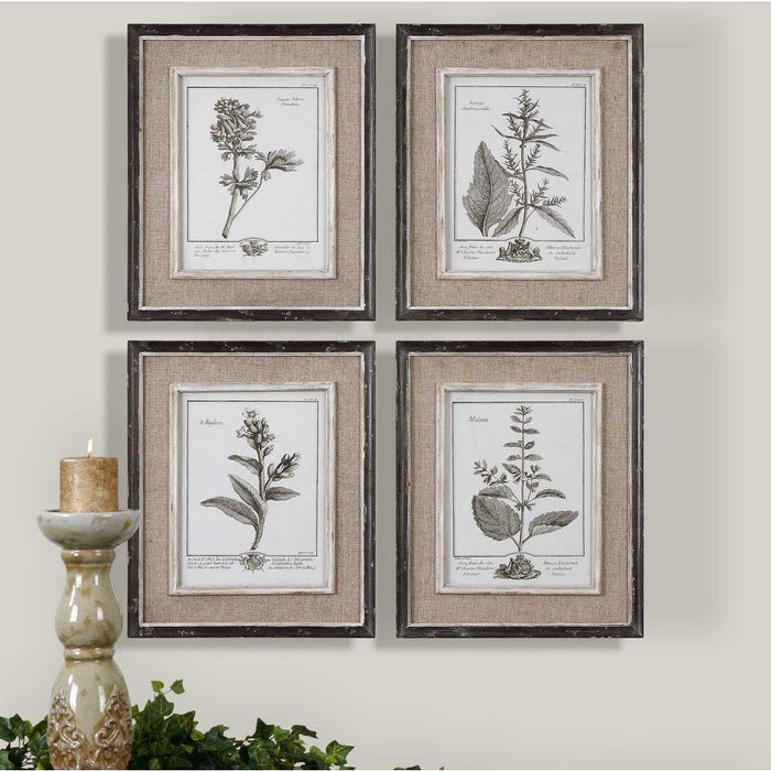 Casual Grey Study Framed Prints, S/4