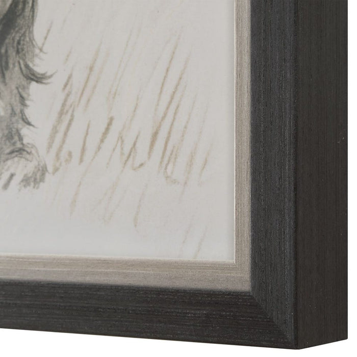 Loyal Companion Framed Prints, S/9