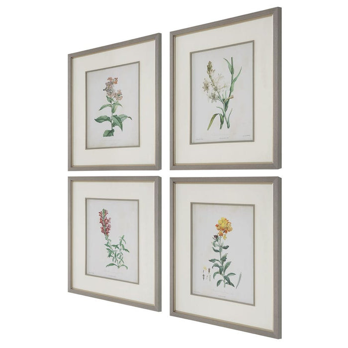 Heirloom Blooms Study Framed Prints, S/4