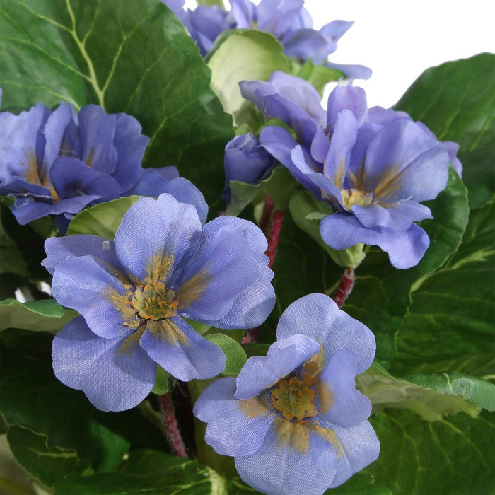 Trilogy Primrose Accents, S/3