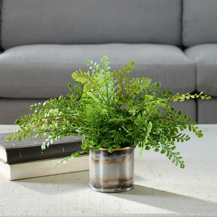 Maidenhair Fern Accent
