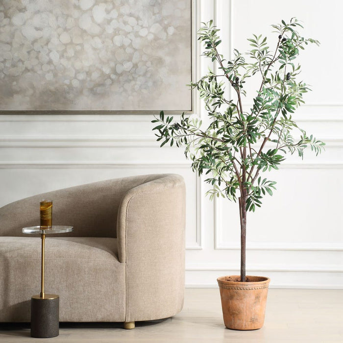 Olea Potted Olive